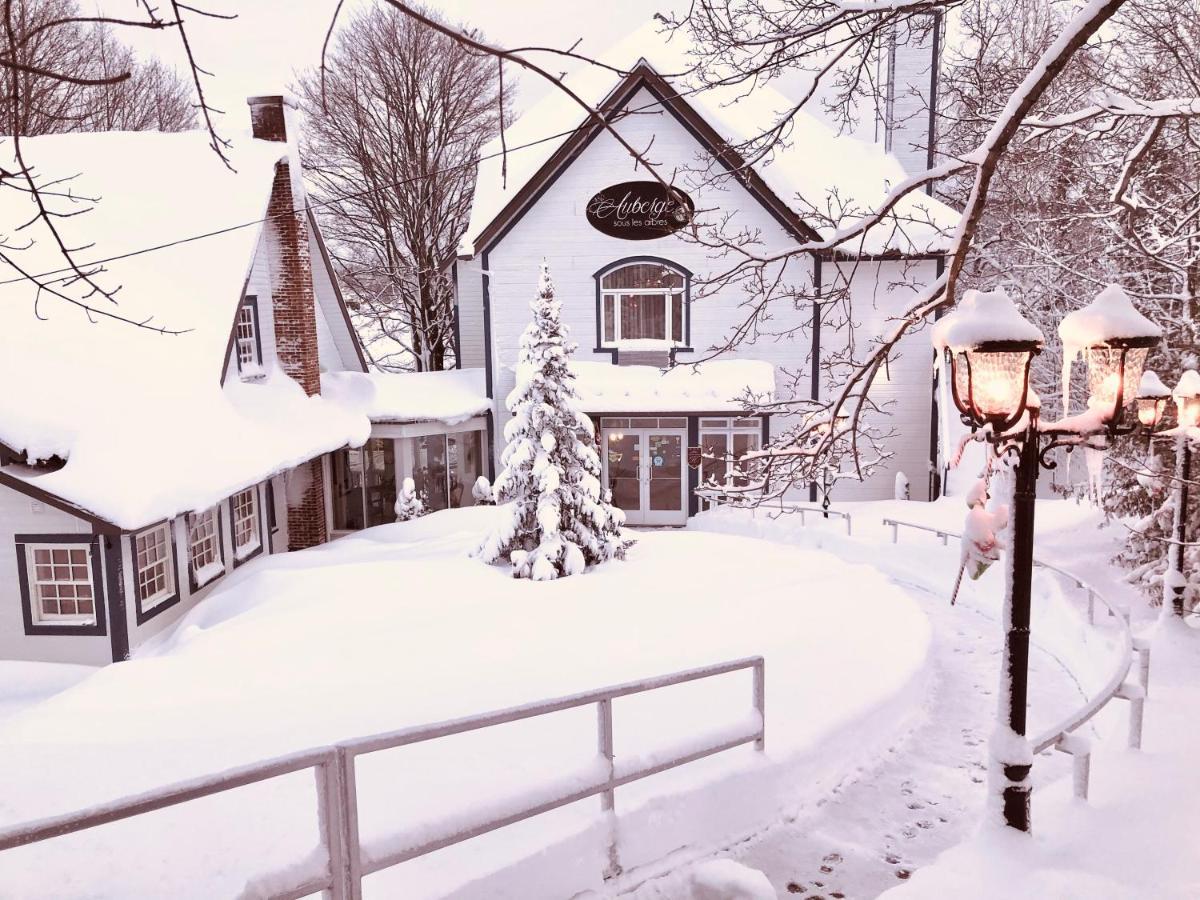 Auberge Sous Les Arbres Gaspé Zewnętrze zdjęcie