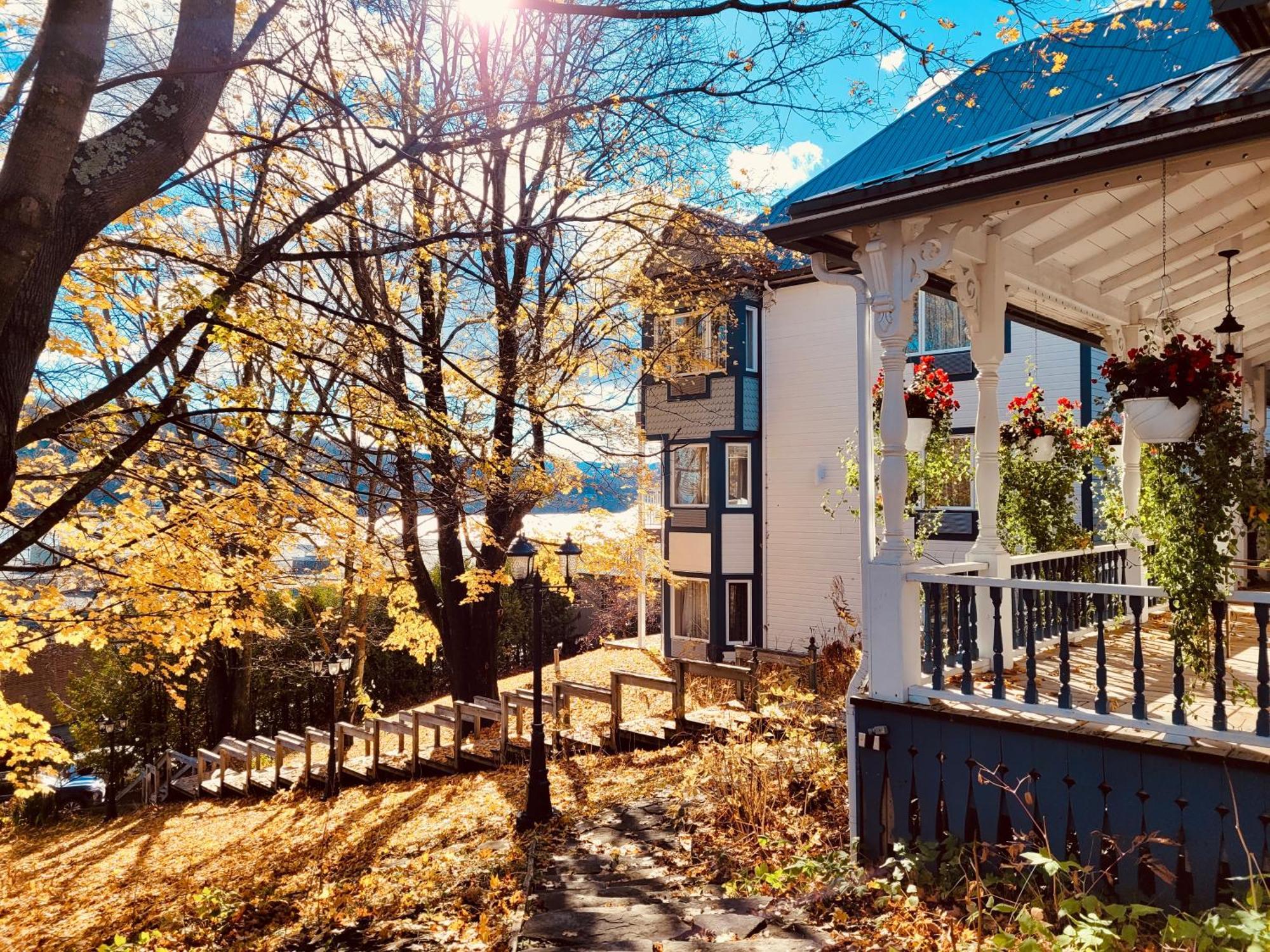 Auberge Sous Les Arbres Gaspé Zewnętrze zdjęcie