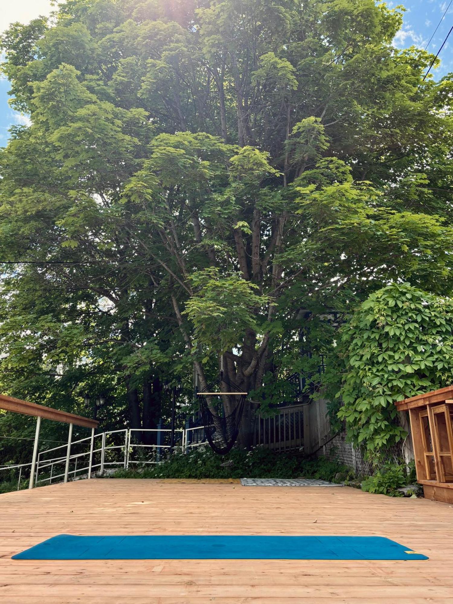 Auberge Sous Les Arbres Gaspé Zewnętrze zdjęcie